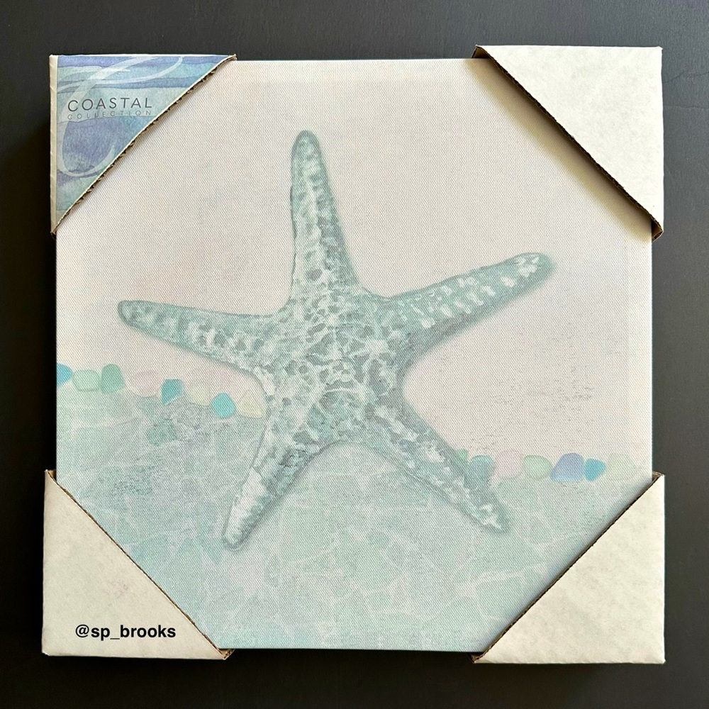 🎁Coastal Collection Starfish Wall Decor on Canvas